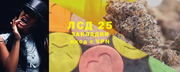 ГАЛЛЮЦИНОГЕННЫЕ ГРИБЫ Балабаново