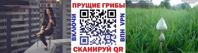 Галлюциногенные грибы мицелий  купить  сайты  darknet состав  Янаул 